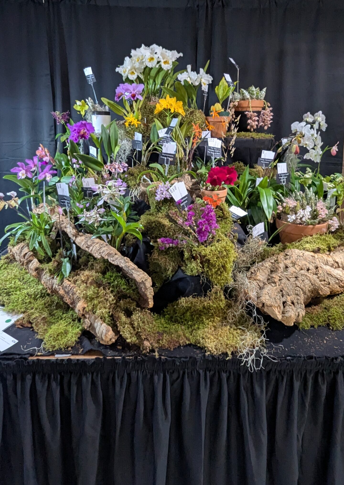 PXL_20250220_223138711.MP