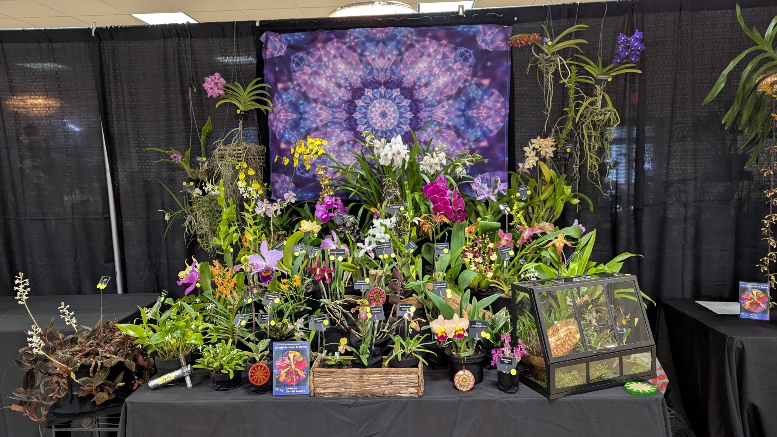 PXL_20251030_192945788.MP